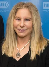 Barbra Streisand &ndash; Duck Sauce cover
