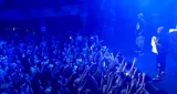 D12 &ndash; Purple Pills cover