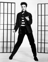 Elvis Presley &ndash; Rubberneckin' cover