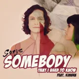 Gotye Feat. Kimbra &ndash; Somebody That I Used To Know cover