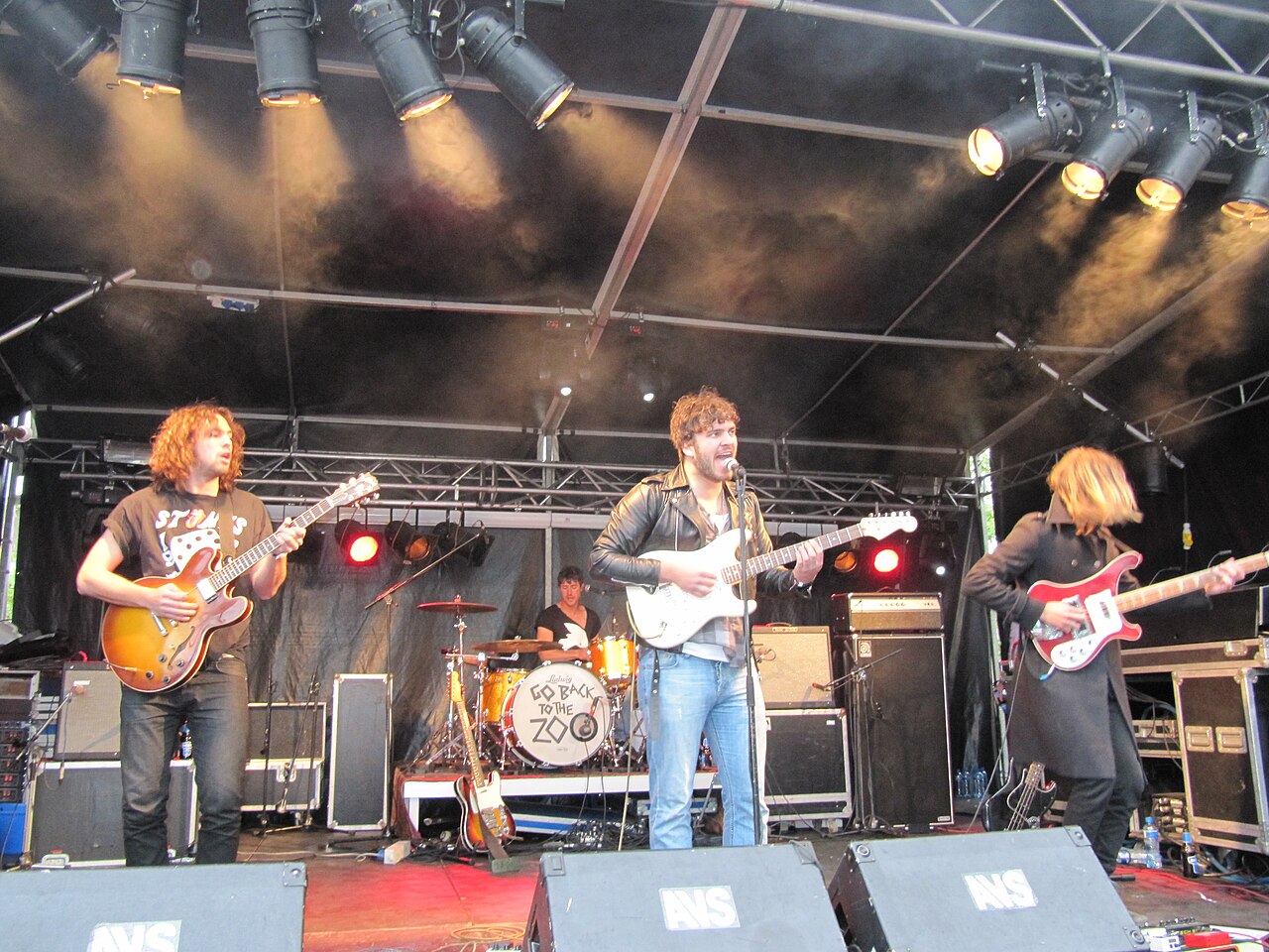 Go Back To The Zoo – Electric cover
