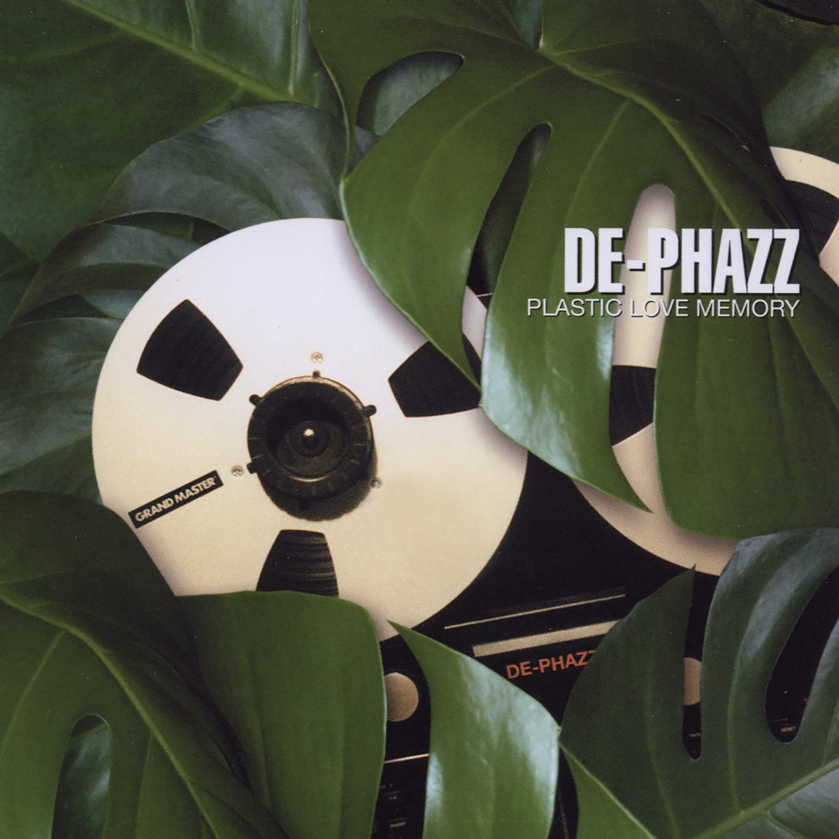 De-Phazz – Riddim Wize cover